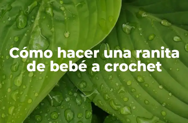 ¿Qué es una ranita de bebé a crochet?