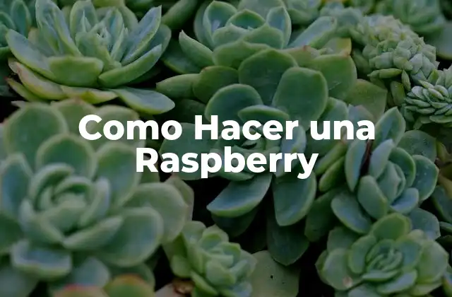 Como Hacer una Raspberry