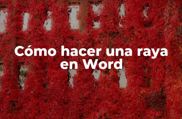 Cómo Hacer una Raya en Word