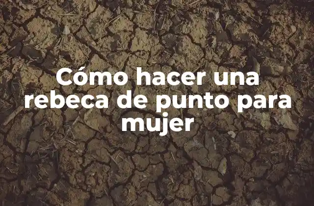 Cómo Hacer una Rebeca de Punto para Mujer