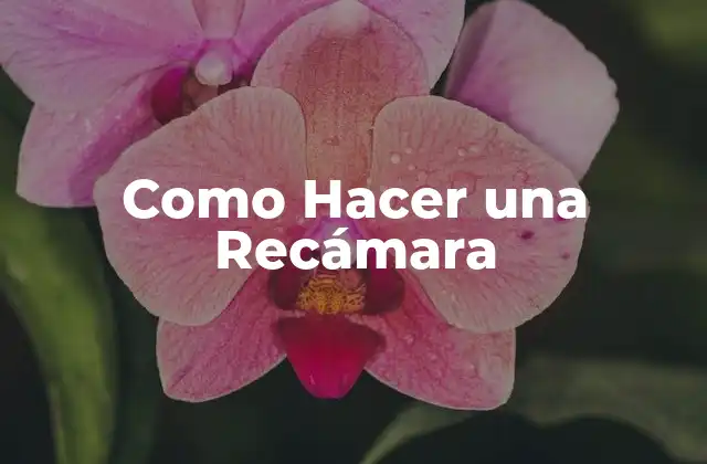 Como Hacer una Recámara