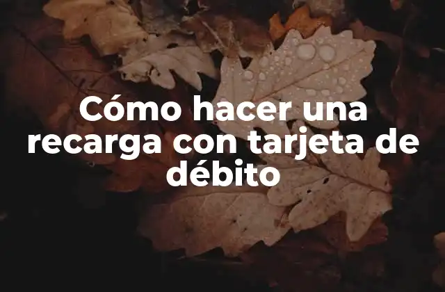 Cómo Hacer una Recarga con Tarjeta de Débito