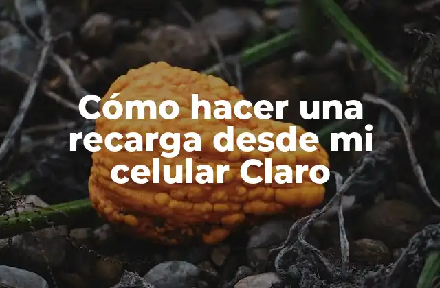 Cómo Hacer una Recarga desde Mi Celular Claro