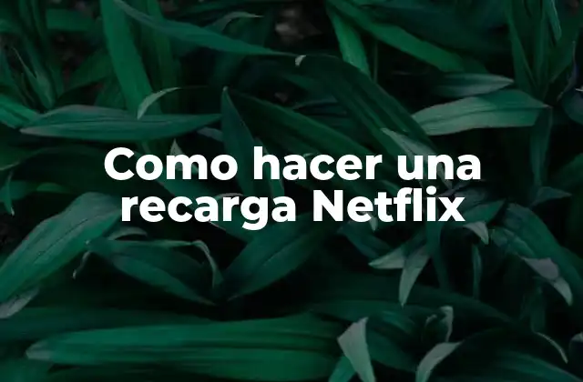 Como Hacer una Recarga Netflix