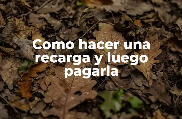 Como Hacer una Recarga y Luego Pagarla