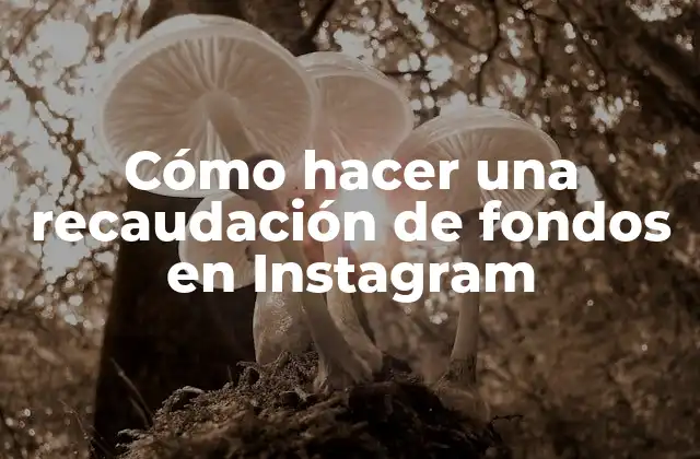 Cómo Hacer una Recaudación de Fondos en Instagram