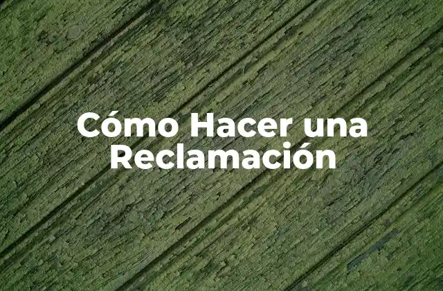 Cómo Hacer una Reclamación 2 ¿Qué es una Reclamación y para Qué Sirve?