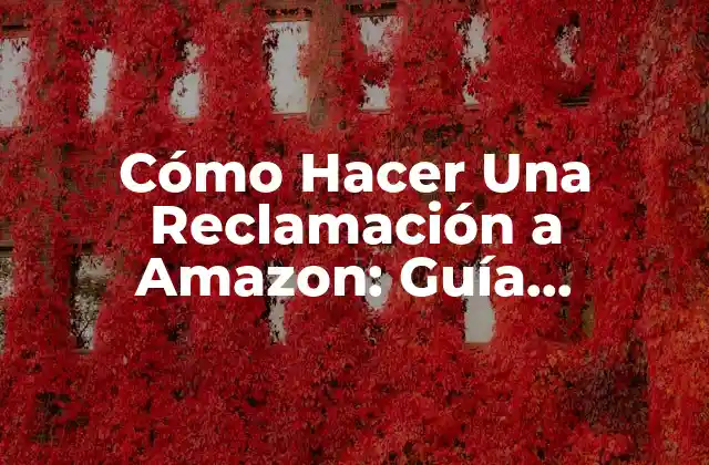 Cómo Hacer una Reclamación a Amazon: Guía Detallada y Actualizada