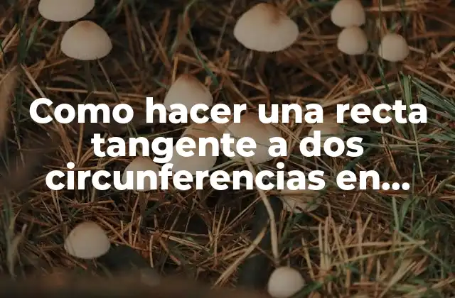 Como Hacer una Recta Tangente a Dos Circunferencias en Autocad