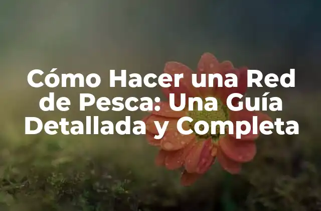 Cómo Hacer una Red de Pesca: una Guía Detallada y Completa