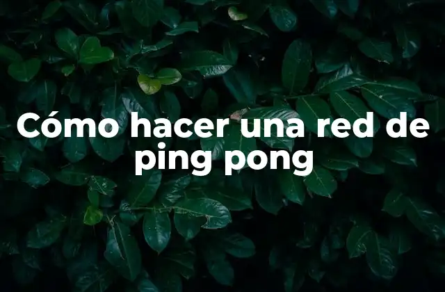 ¿Qué es una red de ping pong y para qué sirve?