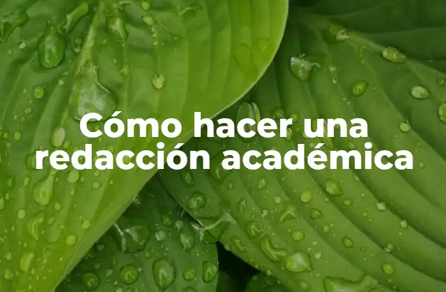 Cómo Hacer una Redacción Académica