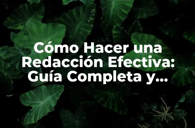 Cómo Hacer una Redacción Efectiva: Guía Completa y Detallada