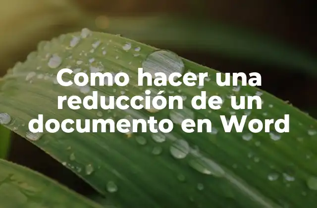 Como Hacer una Reducción de un Documento en Word