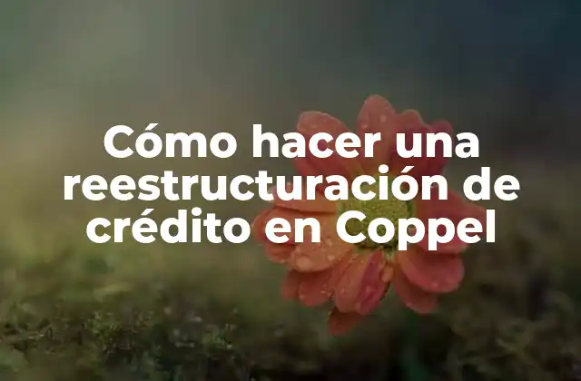 Cómo Hacer una Reestructuración de Crédito en Coppel