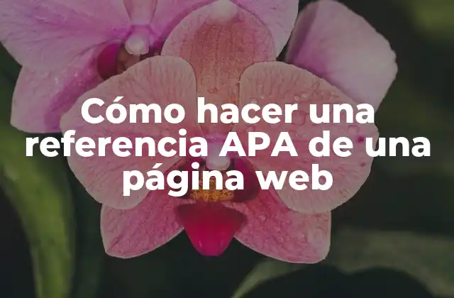 Cómo Hacer una Referencia Apa de una Página Web
