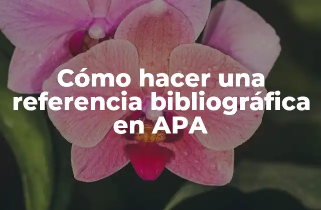 Cómo Hacer una Referencia Bibliográfica en Apa