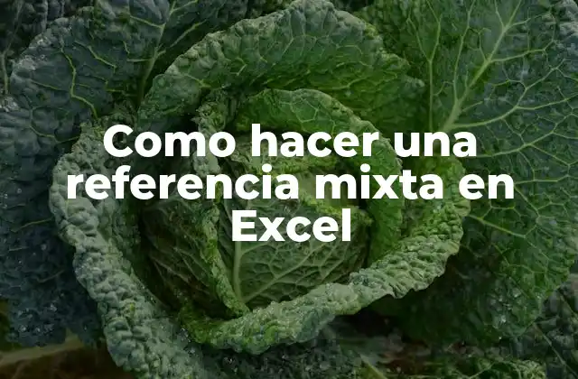 ¿Qué es una referencia mixta en Excel?