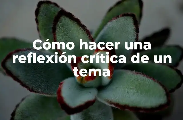 Cómo Hacer una Reflexión Crítica de un Tema