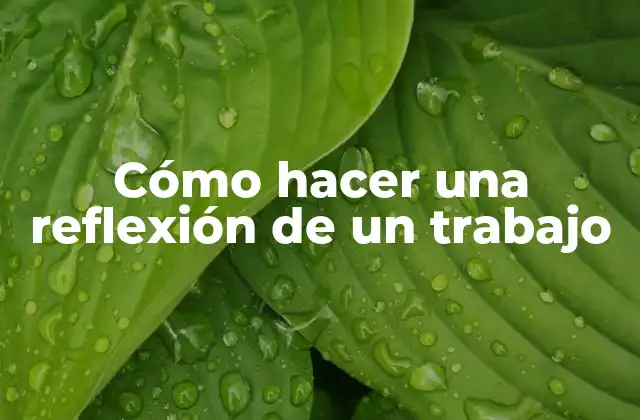 Cómo Hacer una Reflexión de un Trabajo