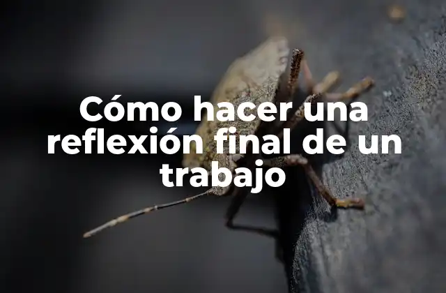 Cómo hacer una reflexión final de un trabajo