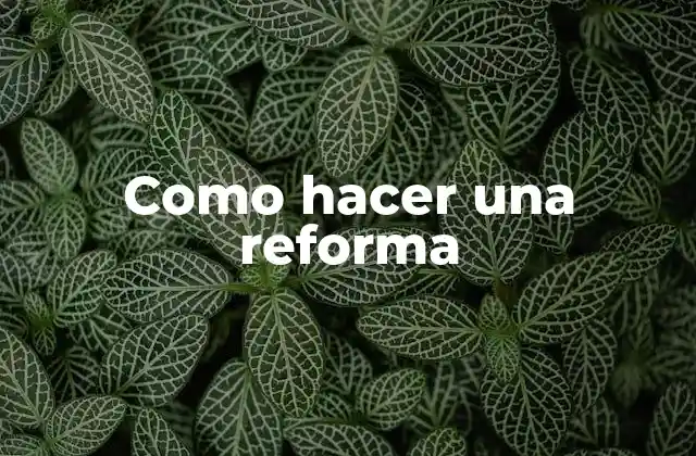 ¿Qué es una reforma y para qué sirve?