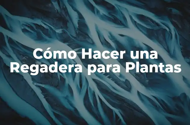 Cómo Hacer una Regadera para Plantas