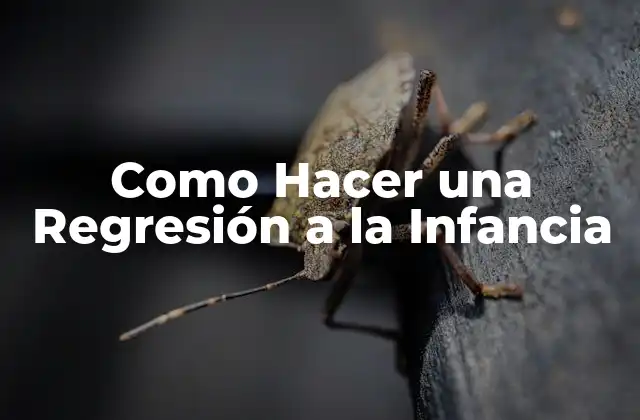 Como Hacer una Regresión a la Infancia