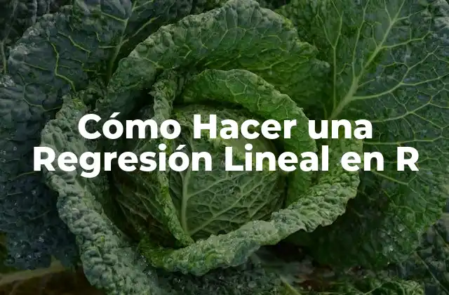 Cómo Hacer una Regresión Lineal en R