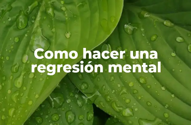 Como Hacer una Regresión Mental
