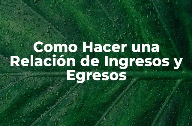Como Hacer una Relación de Ingresos y Egresos