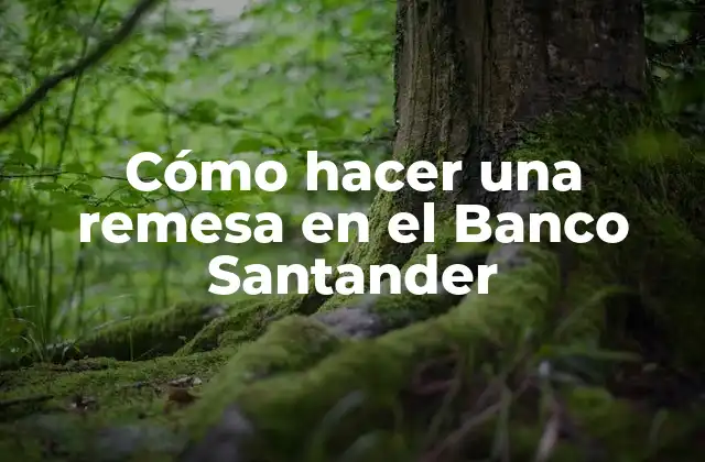 Cómo Hacer una Remesa en el Banco Santander