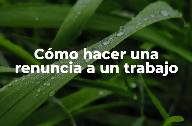 Cómo Hacer una Renuncia a un Trabajo