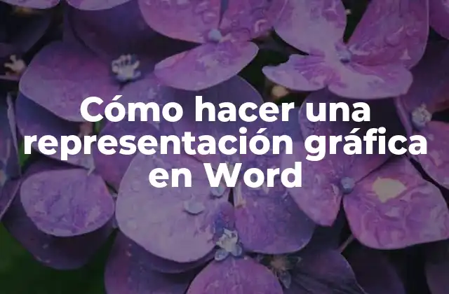 Cómo Hacer una Representación Gráfica en Word