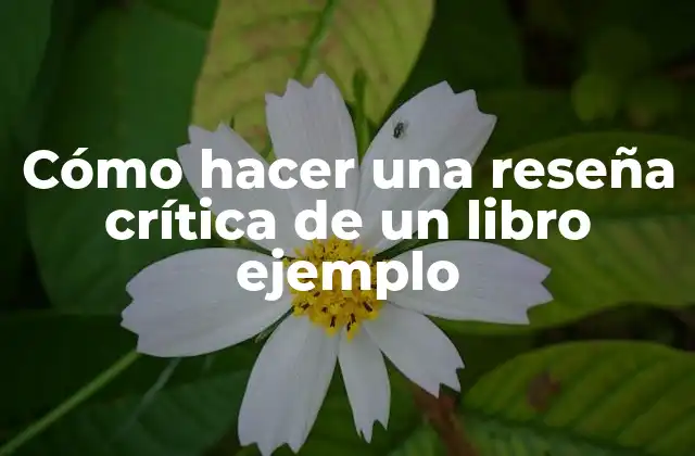 Cómo Hacer una Reseña Crítica de un Libro Ejemplo