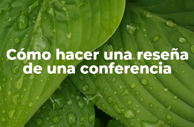 Cómo Hacer una Reseña de una Conferencia