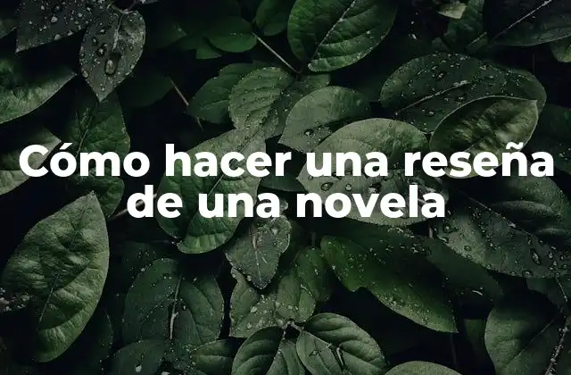 Cómo Hacer una Reseña de una Novela