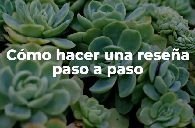 Cómo hacer una reseña paso a paso