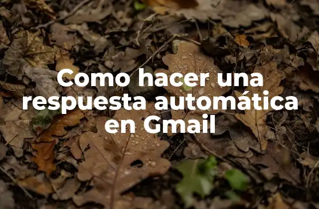 Como Hacer una Respuesta Automática en Gmail