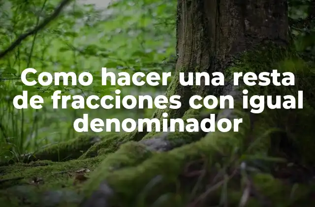 Como Hacer una Resta de Fracciones con Igual Denominador