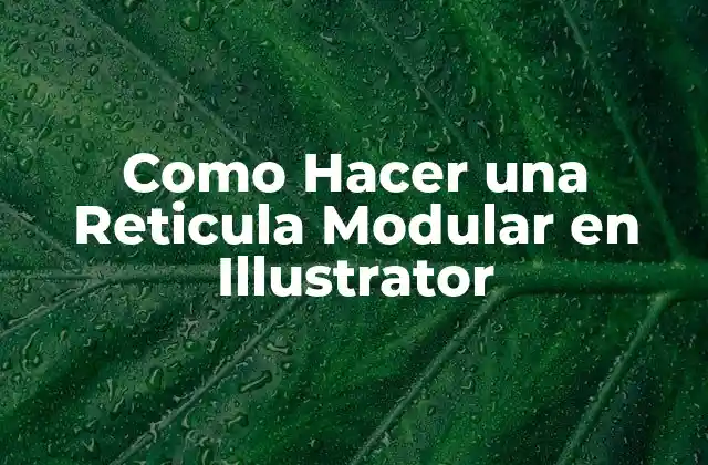 Como Hacer una Reticula Modular en Illustrator