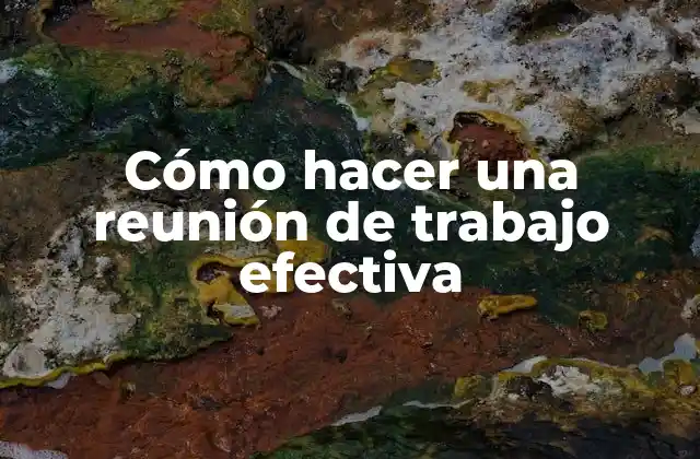 Cómo Hacer una Reunión de Trabajo Efectiva