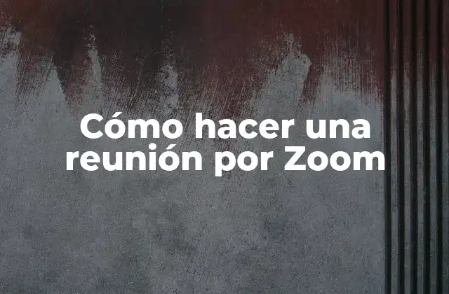Cómo Hacer una Reunión por Zoom