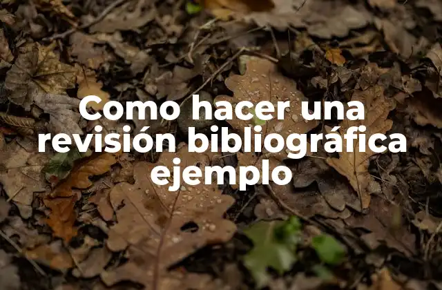 Como Hacer una Revisión Bibliográfica Ejemplo 2 Como hacer una revisión bibliográfica ejemplo