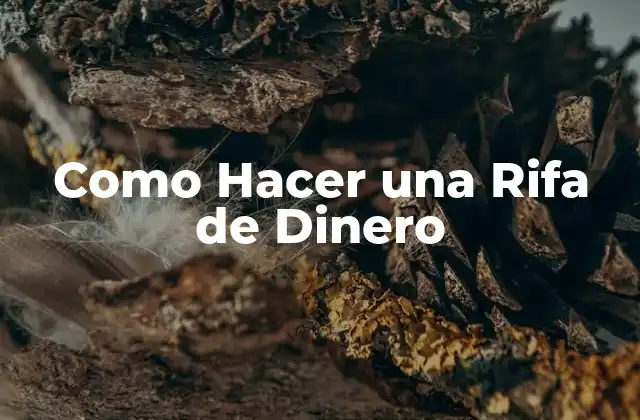 Como Hacer una Rifa de Dinero