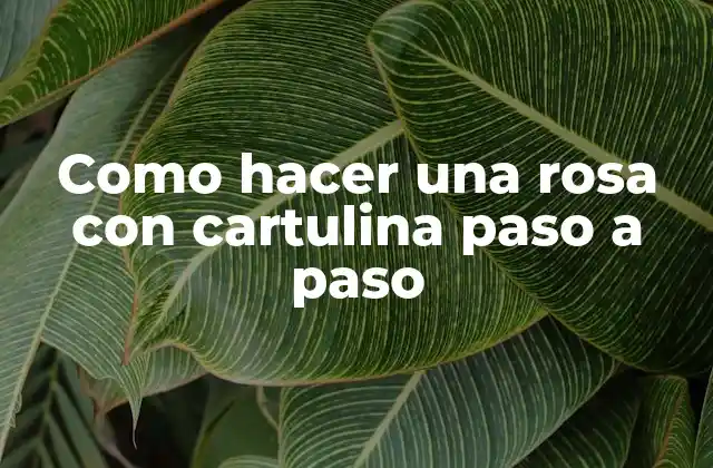Como Hacer una Rosa con Cartulina Paso a Paso 2 La rosa con cartulina paso a paso es una técnica de manualidades que consiste en crear una rosa utilizando cartulina como material principal. Esta técnica es ideal para decorar habitaciones, crear regalos personalizados o simplemente para relajarte y expresar tu creatividad.