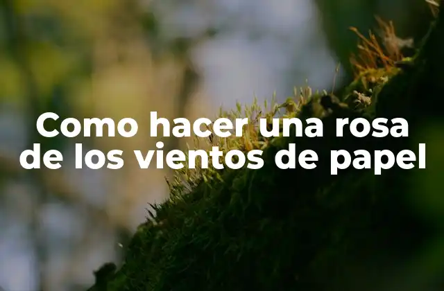 Como Hacer una Rosa de los Vientos de Papel 2 ¿Qué es una rosa de los vientos de papel?