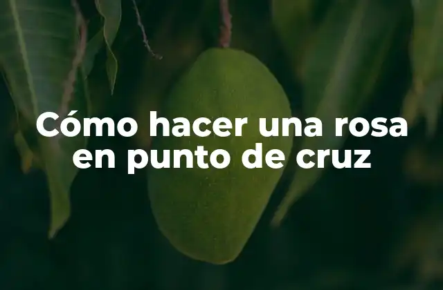 Cómo Hacer una Rosa en Punto de Cruz