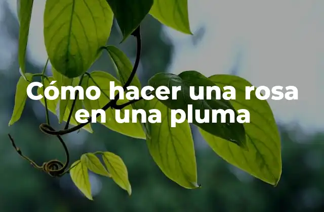 Cómo Hacer una Rosa en una Pluma