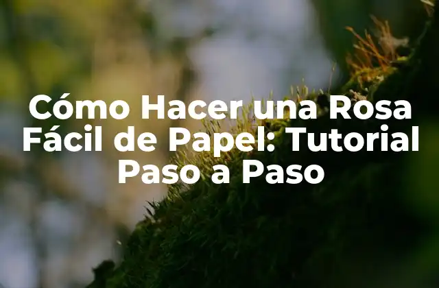 Cómo Hacer una Rosa Fácil de Papel: Tutorial Paso a Paso 2 Materiales Necesarios para Hacer una Rosa de Papel